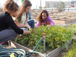 WY_Juniper-Ridge-Community-Garden-children-pic-en